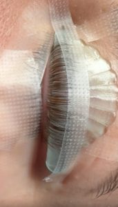 Lash Lift and Tint Near Me: The 2025 Complete Guide by Lash Pilot Santa Monica
