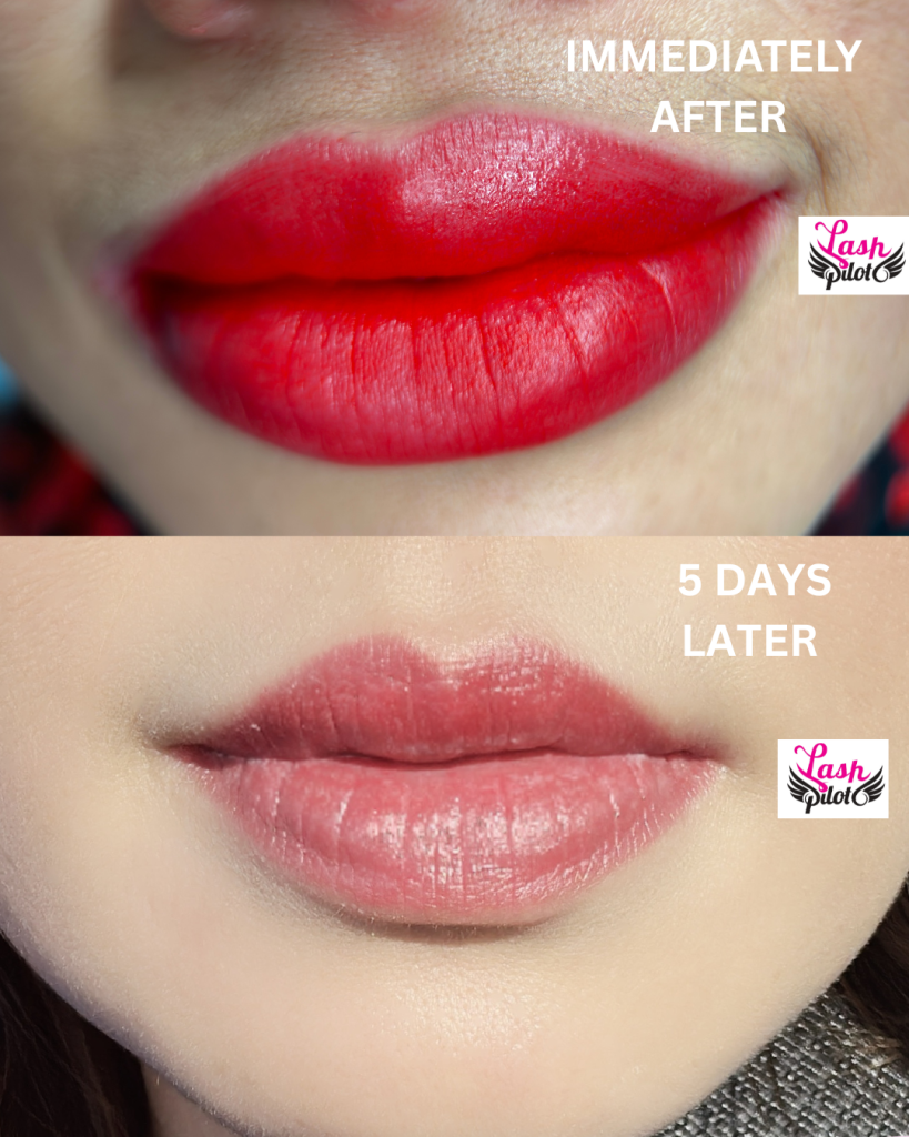 💄 Lip Blush In Santa Monica: The 2026 Guide By Lash Pilot Santa Monica