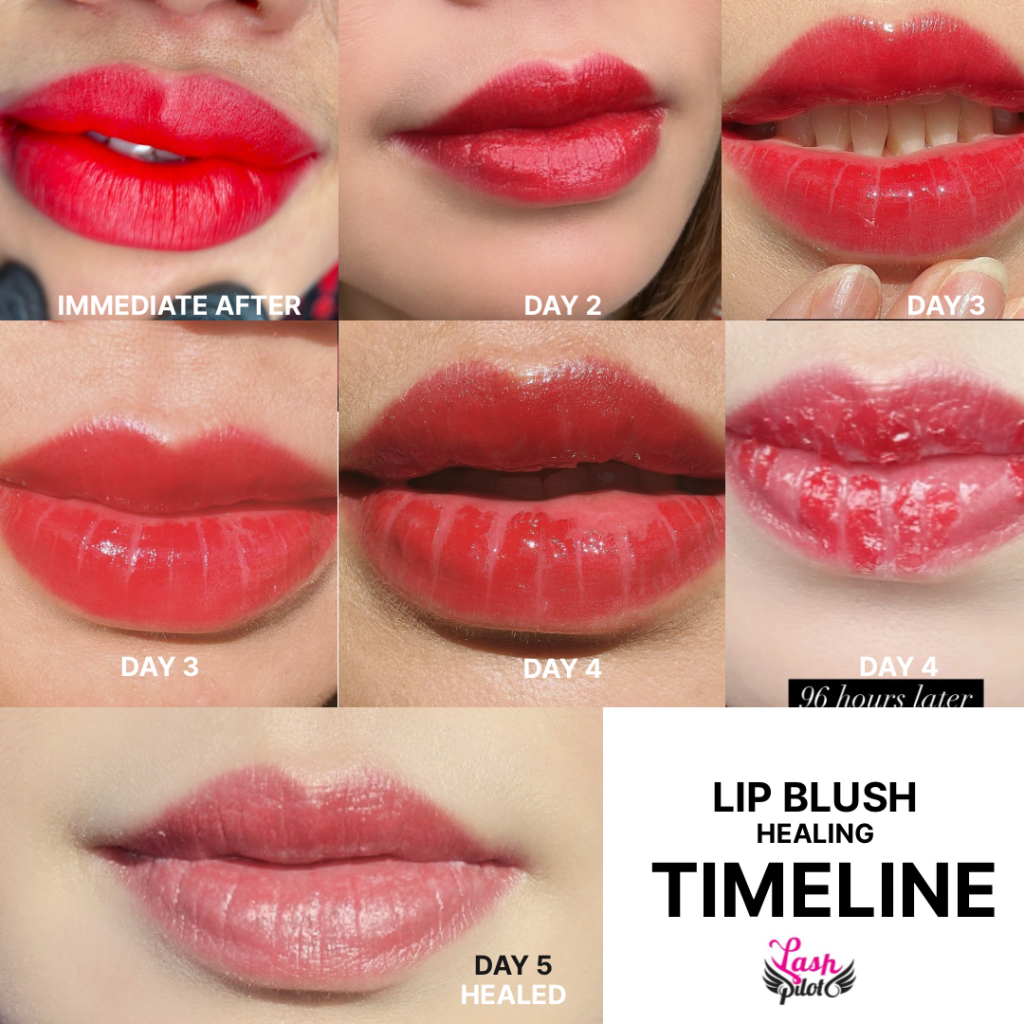 💄 Lip Blush In Santa Monica: The 2026 Guide By Lash Pilot Santa Monica