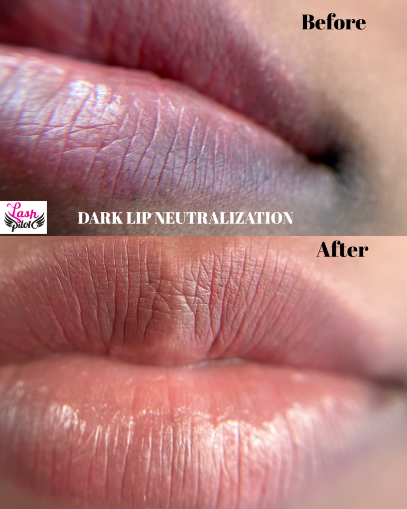 💄 Lip Blush In Santa Monica: The 2026 Guide By Lash Pilot Santa Monica